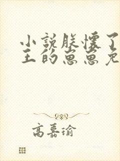 小说朕怀了摄政王的崽崽免费阅读