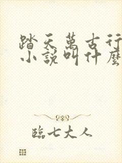 踏天万古行原著小说叫什么名字