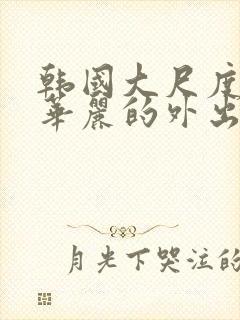 韩国大尺度电影华丽的外出