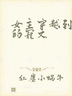 女主穿越到星际的宠文