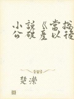 小说《当总裁老公破产以后》