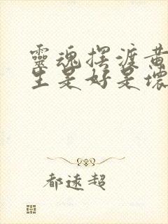 灵魂摆渡黄泉长生是好是坏