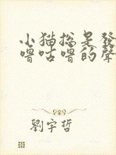 小猫总是发出咕噜咕噜的声音