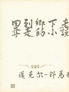 回到乡下老婆被夺走的小说