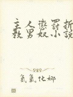 主人惩罚折磨调教男奴小说