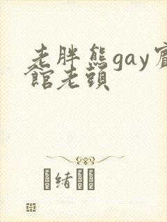 老胖熊gay宾馆老头