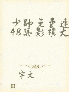 少帅免费连续剧48集影视大全封面