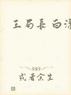 王局长 白洁