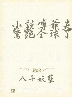 小说傅爷夫人又惊艳全球了免费封面