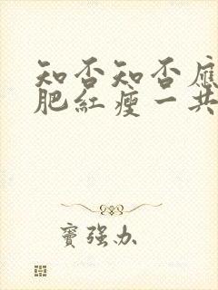 知否知否应是绿肥红瘦一共多少集