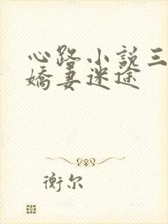 心路小说三部曲娇妻迷途
