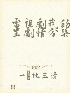 电视剧我的后半生剧情分集介绍