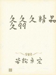 久久久精品久久久99