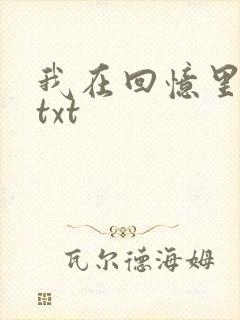 我在回忆里等你txt封面
