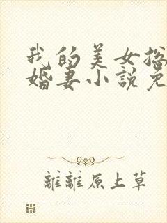 我的美女总裁未婚妻小说免费阅读