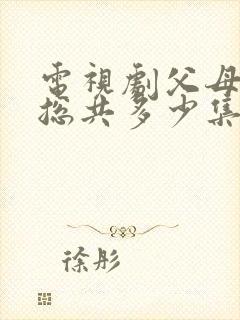 电视剧父母爱情总共多少集封面