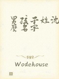 男孩子姓沈取什么名字