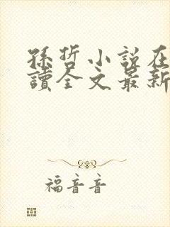 孙哲小说在线阅读全文最新