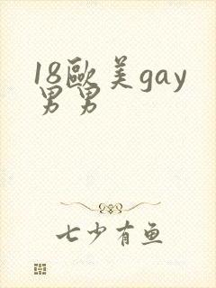 18欧美gay男男
