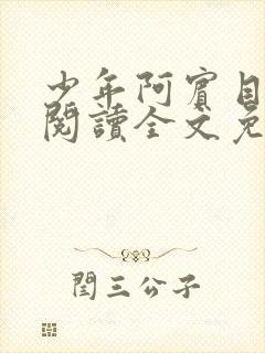 少年阿宾目录线阅读全文免费阅读