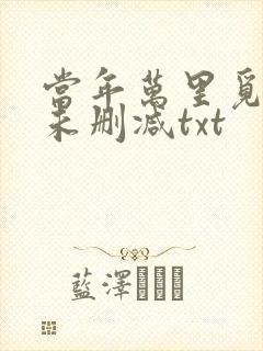 当年万里觅封侯未删减txt