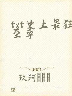 txt史上最狂至尊封面