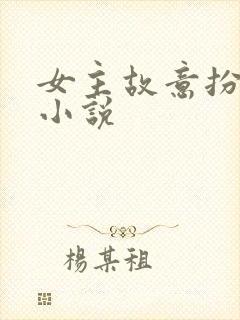 女主故意扮丑的小说