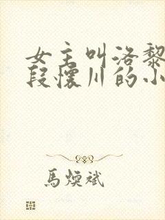 女主叫洛黎霍辰段怀川的小说