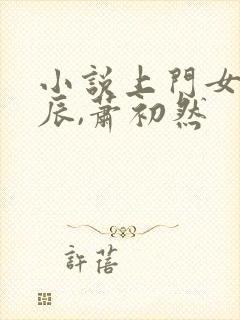 小说上门女婿叶辰,萧初然