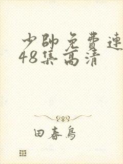 少帅免费连续剧48集高清