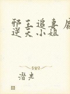 邪王追妻 废材逆天小姐