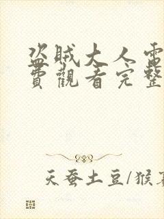 盗贼大人电影免费观看完整版高清