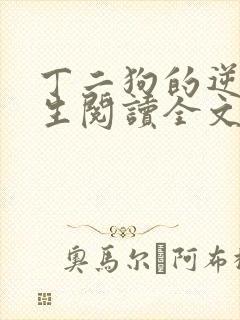 丁二狗的逆袭人生阅读全文全文