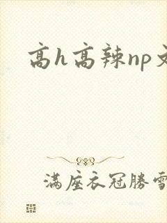 高h高辣np文