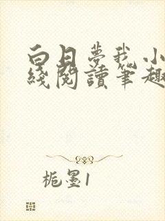 白日梦我小说在线阅读笔趣阁