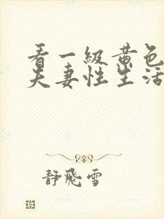 看一级黄色录像夫妻性生活片