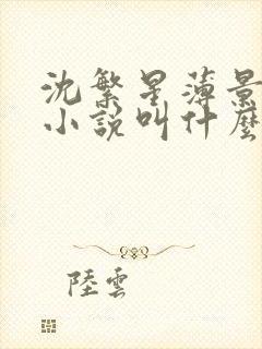 沈繁星薄景川的小说叫什么名字