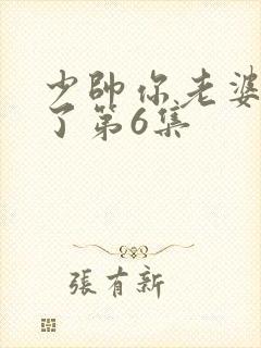 少帅你老婆又跑了第6集