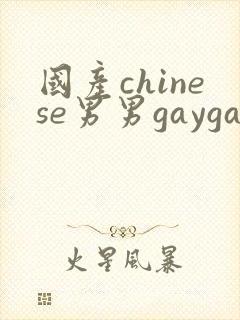 国产chinese男男gaygay无套网站