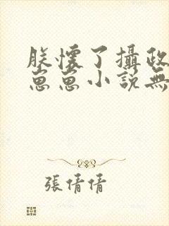 朕怀了摄政王的崽崽小说无广告