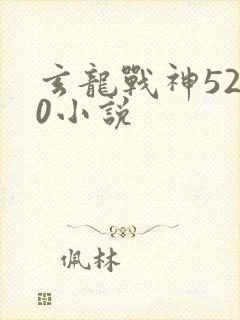 玄龙战神5200小说