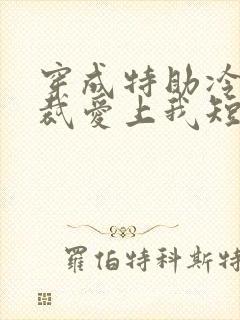 穿成特助冷艳总裁爱上我短剧免费观看