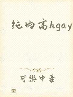 纯肉高hgay