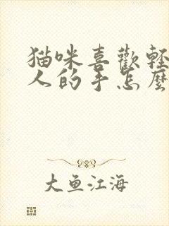 猫咪喜欢轻咬主人的手怎么回事