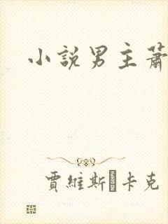 小说男主萧景渊封面