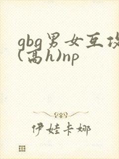 gbg男女互攻(高h)np
