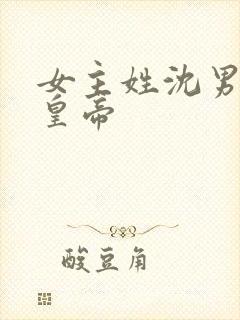 女主姓沈男主是皇帝