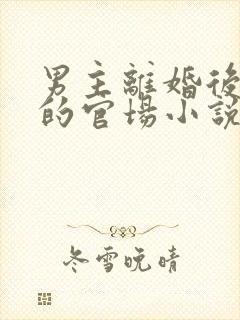 男主离婚后逆袭的官场小说