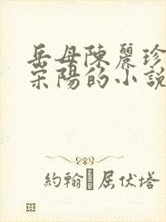 岳母陈丽珍女婿宋阳的小说免费