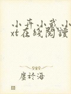 小卉小武小说txt在线阅读